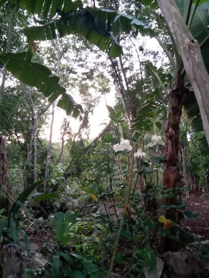 Ecolodge Uh May Francisco Uh May 外观 照片