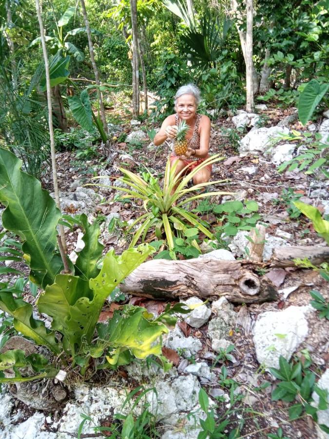 Ecolodge Uh May Francisco Uh May 外观 照片