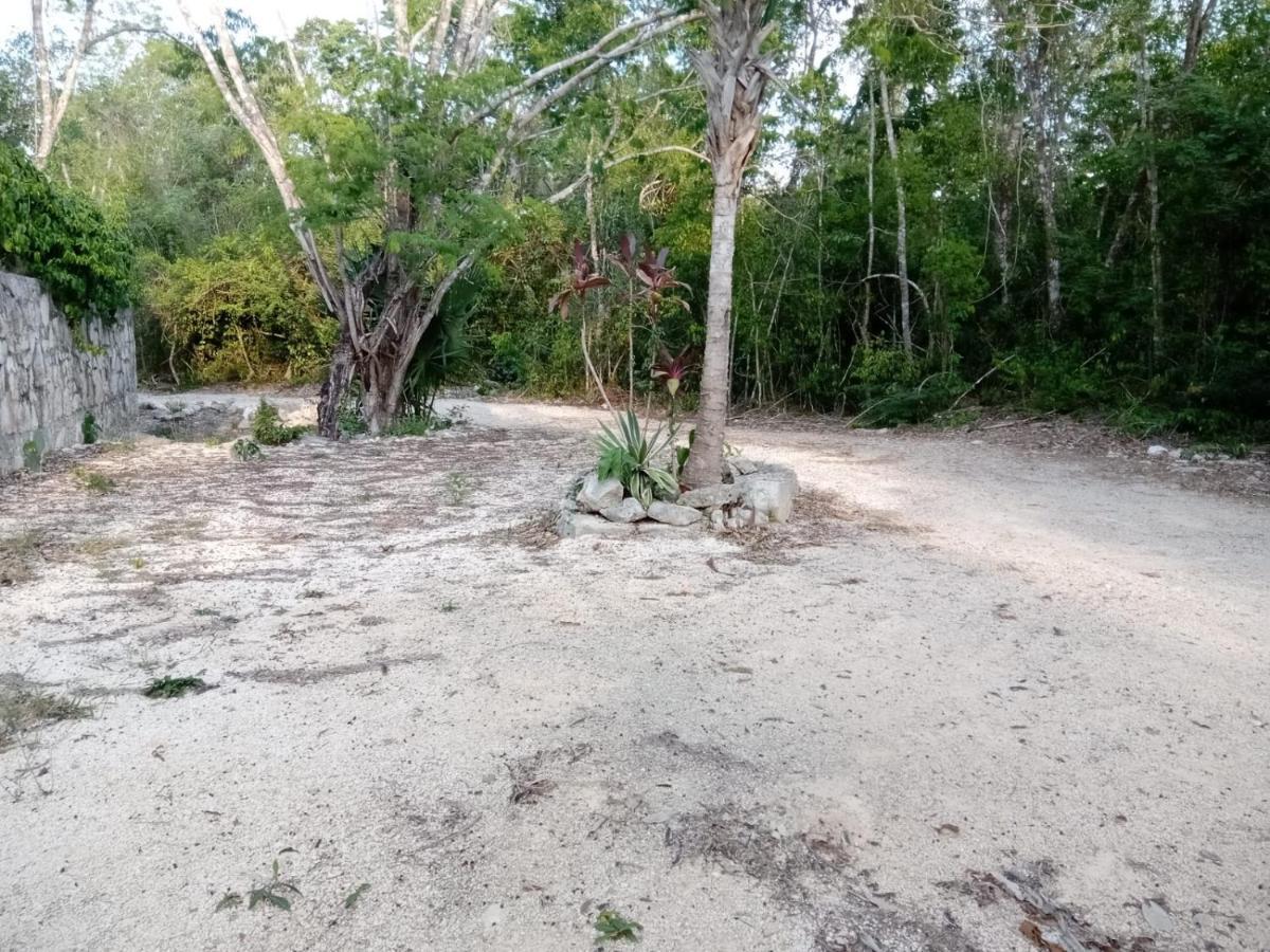Ecolodge Uh May Francisco Uh May 外观 照片